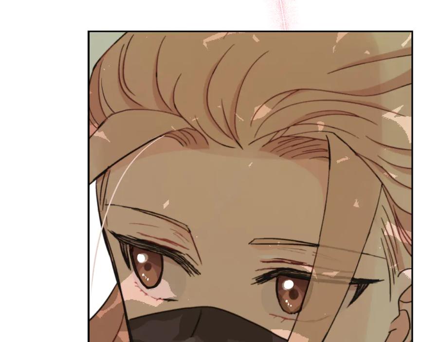 第235页