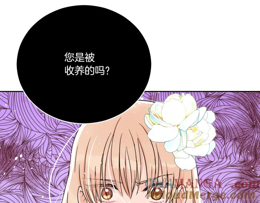 第229页