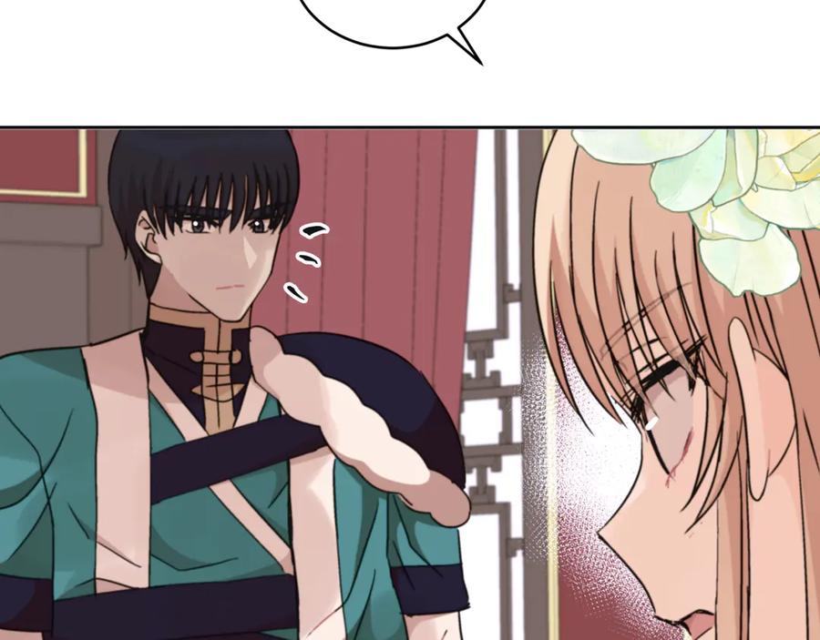 第205页