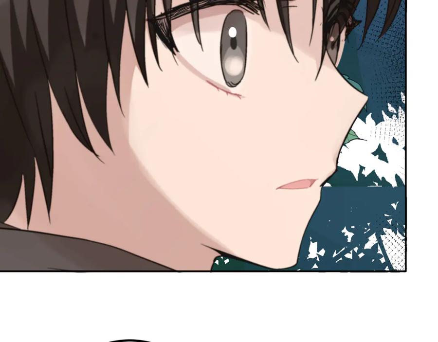 第339页