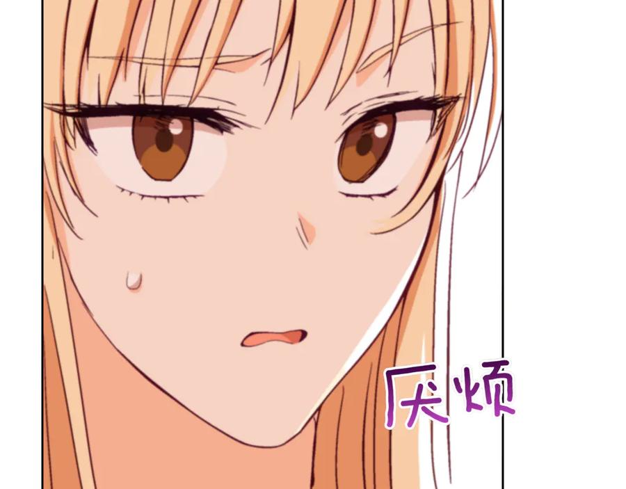 第242页