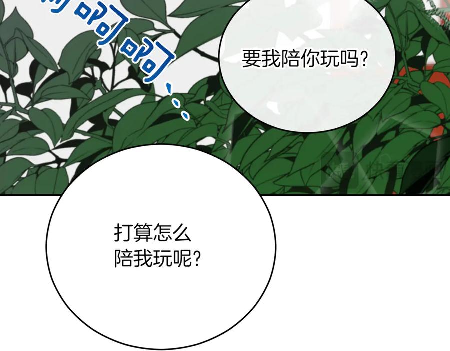 第246页