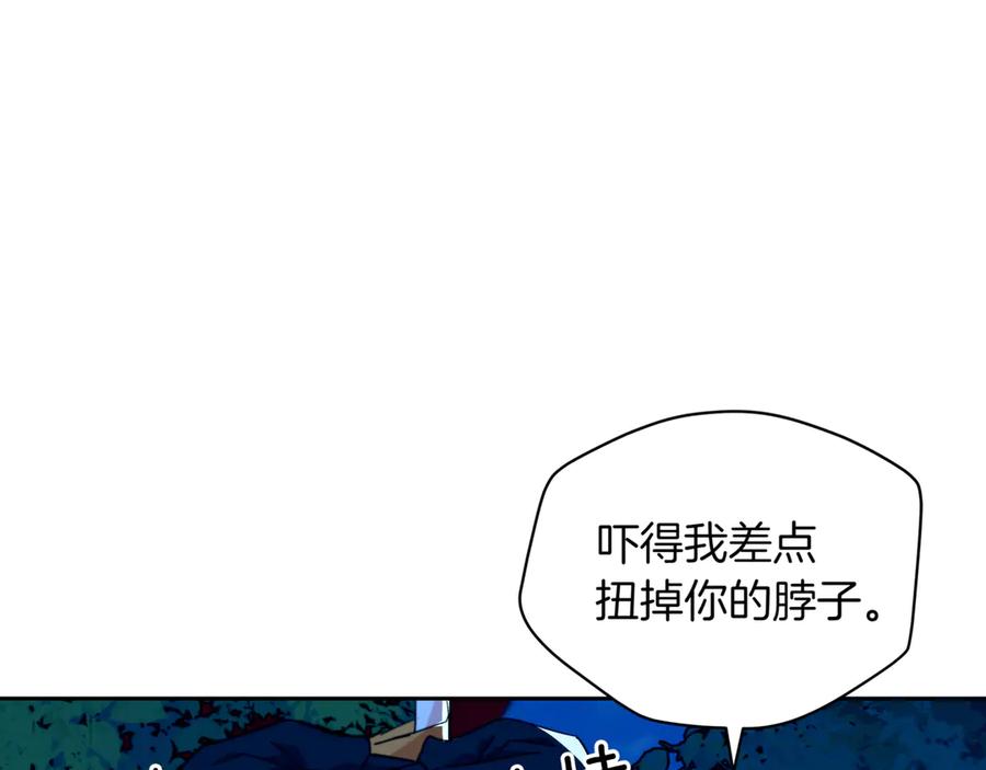 第251页