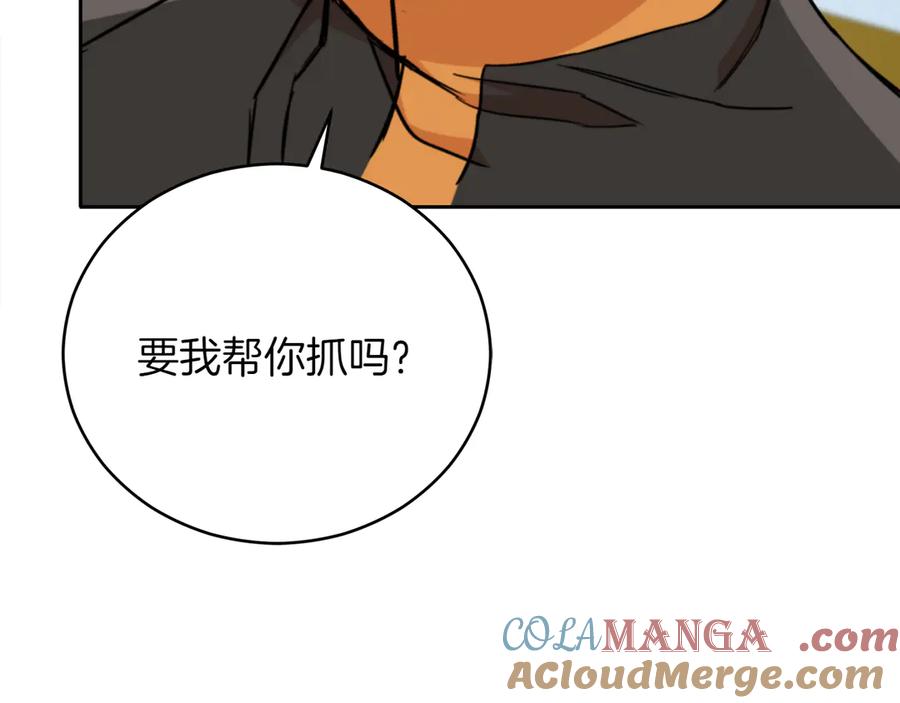 第237页