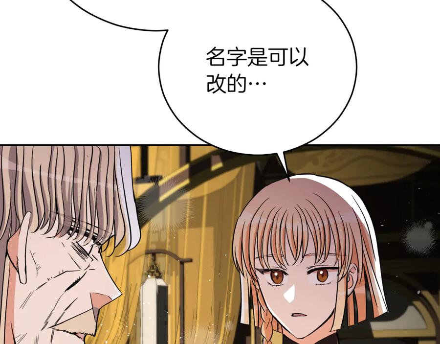 第250页