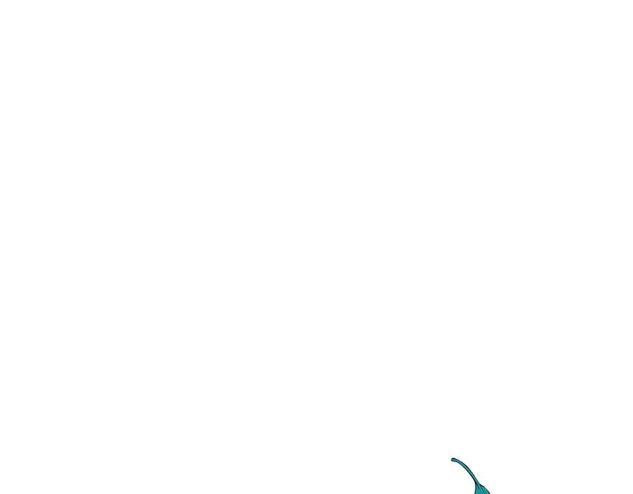 第224页