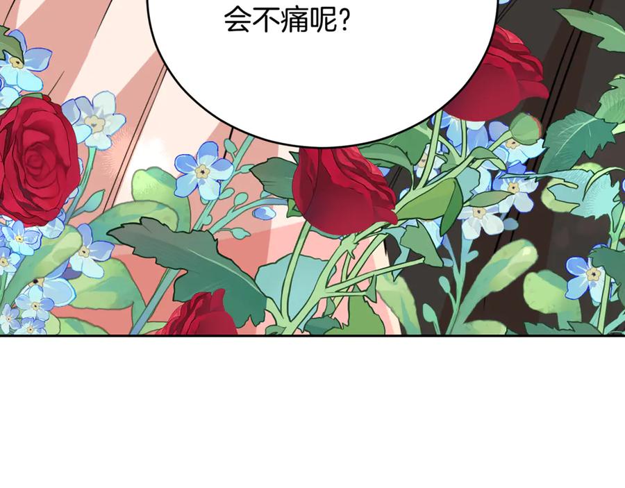 第494页