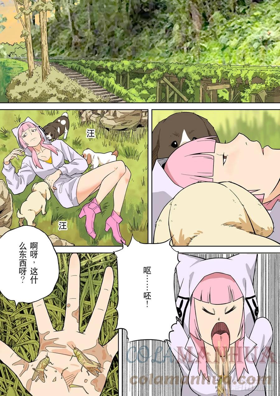 第29页