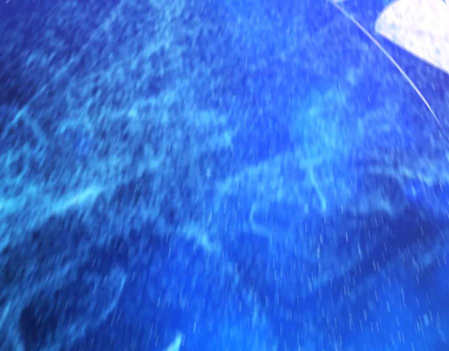 第191页