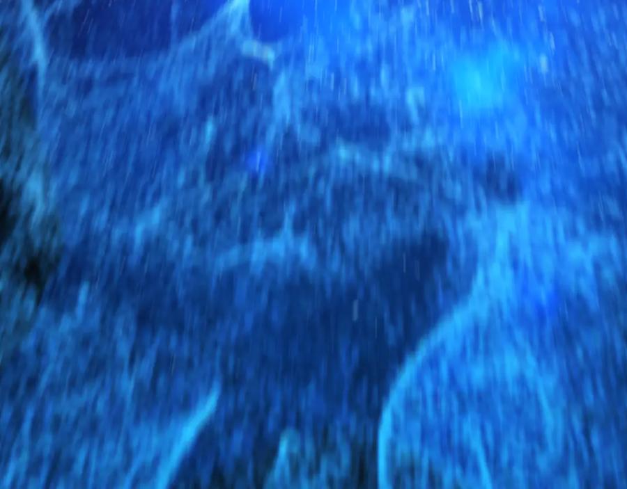 第192页