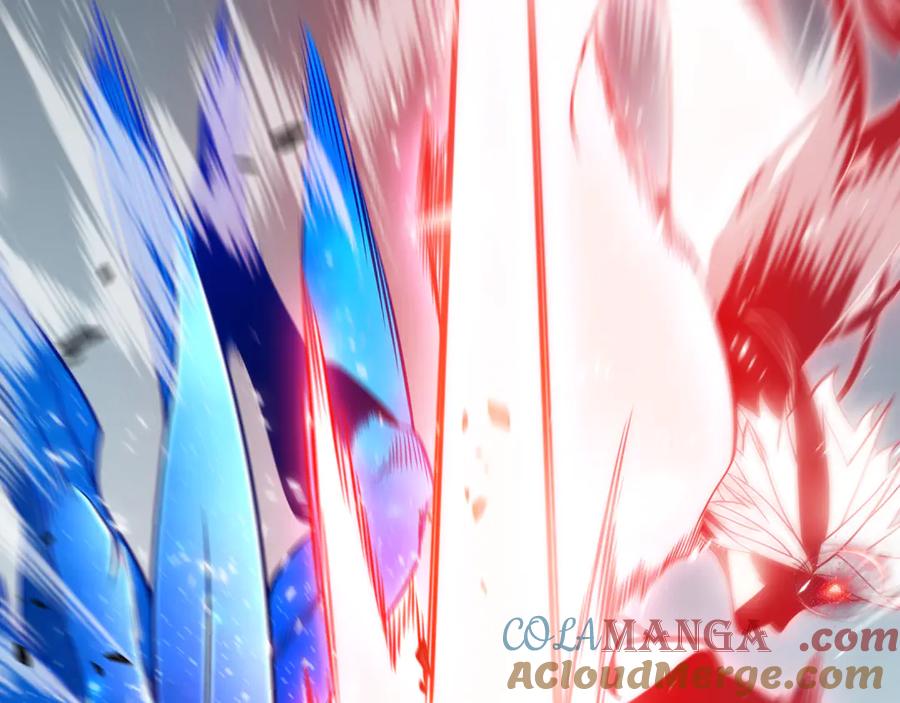 第217页