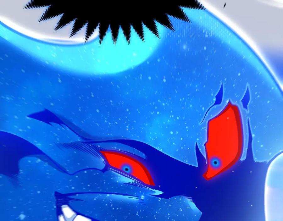 第204页