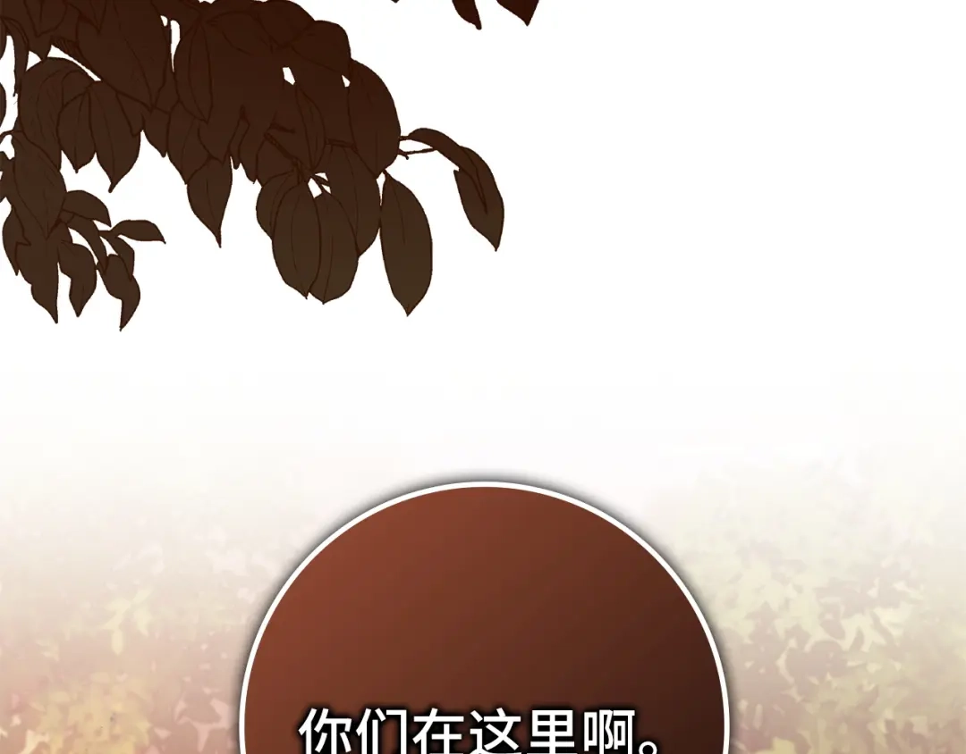 扔掉的渣男，绝不再捡！ 第135话 第255页
