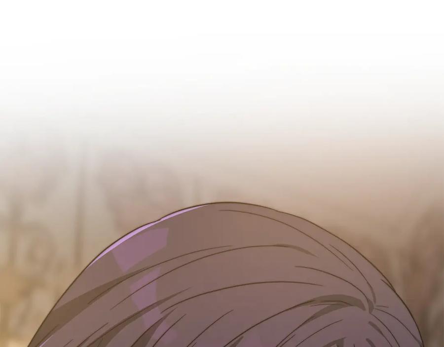 第256页