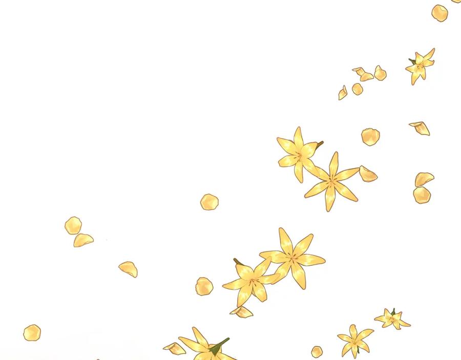 第236页
