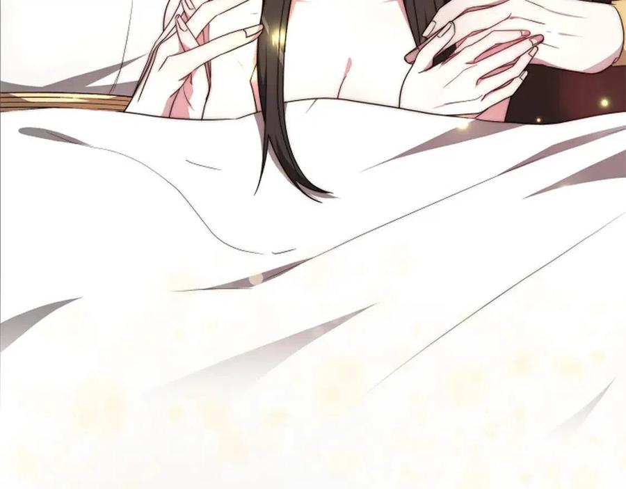 第242页