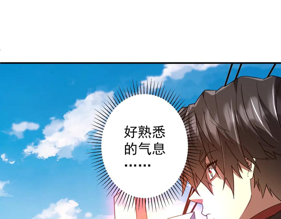 第294页