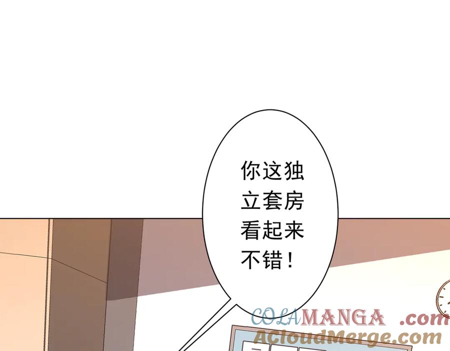 第338页