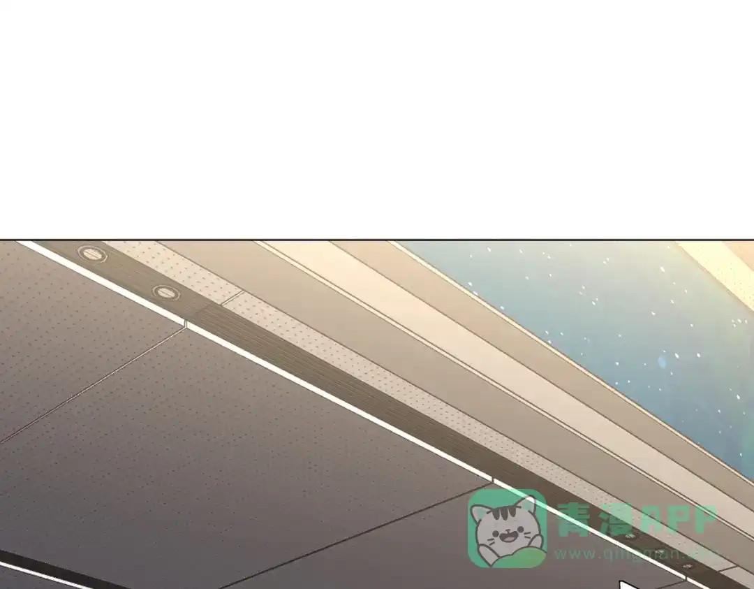 第262页