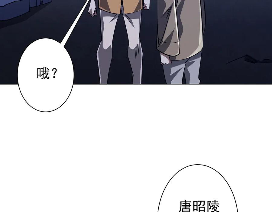 第511页