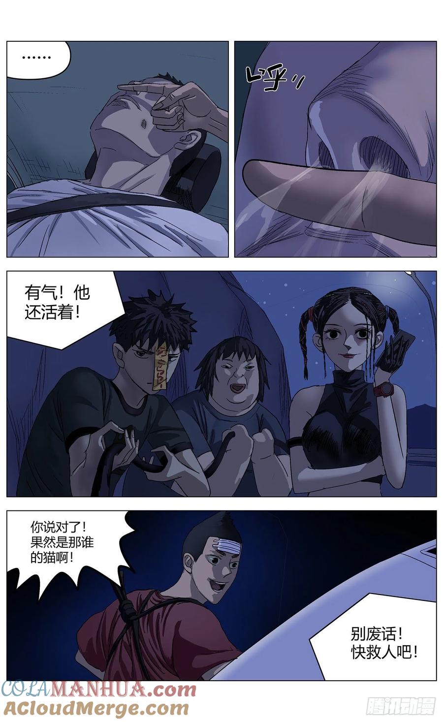 第5页