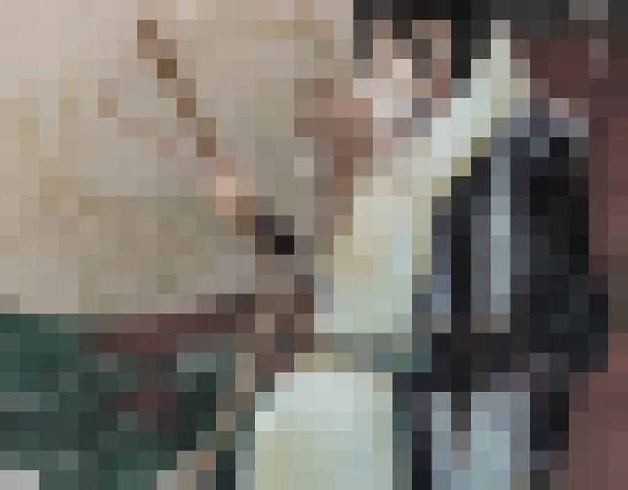 第83页