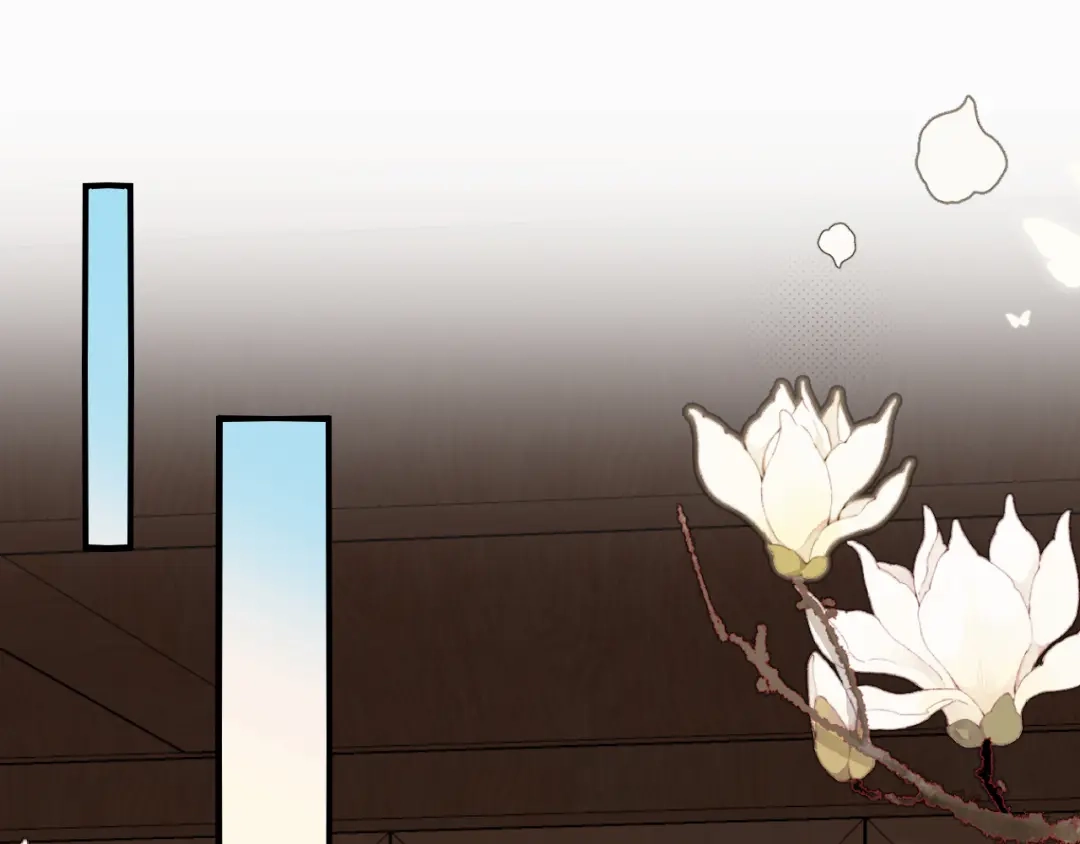 第217页