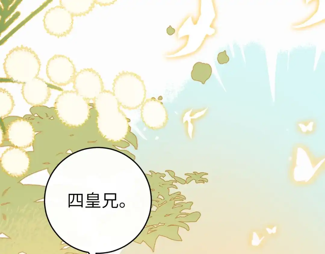 第223页
