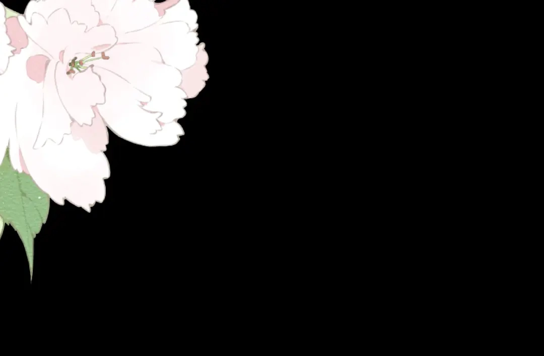 第211页