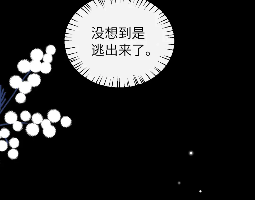 第316页