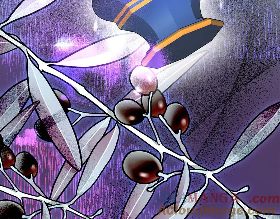 第257页