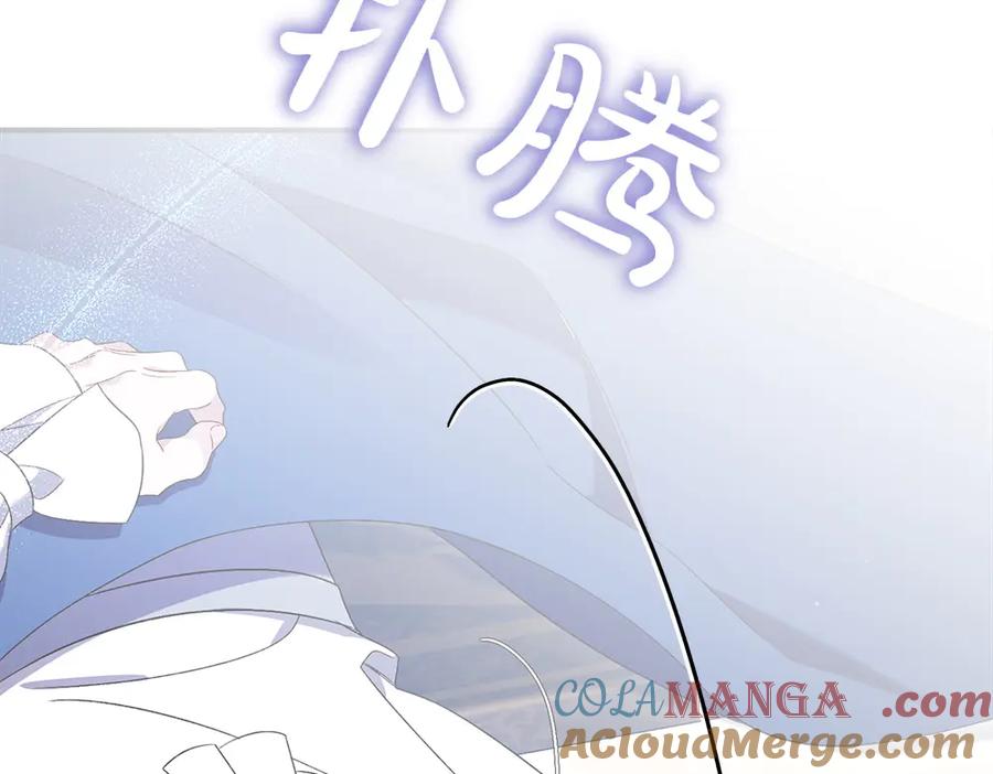 第233页