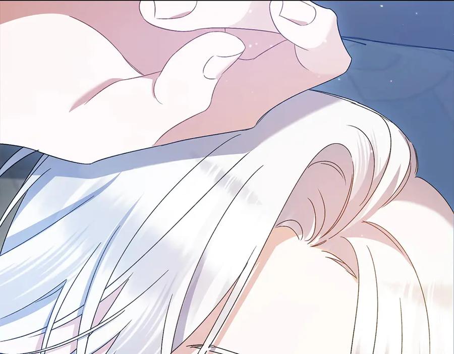 第247页