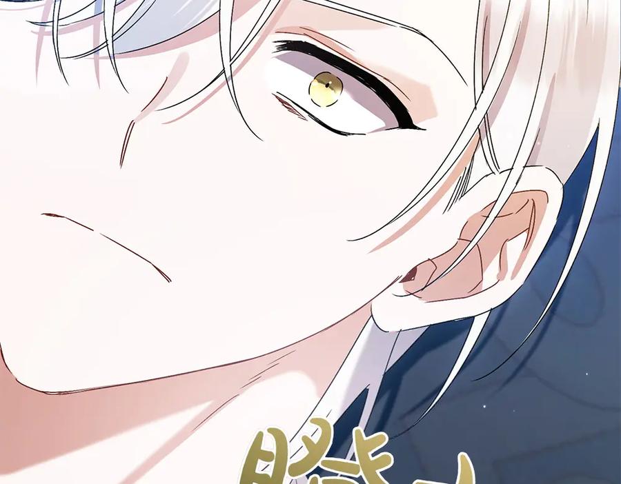 第248页