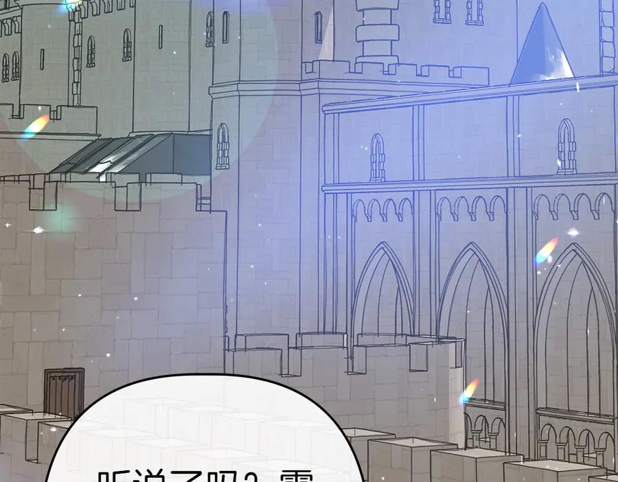 第219页