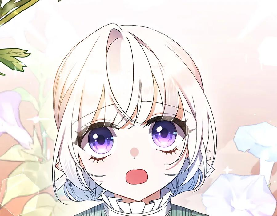 第247页