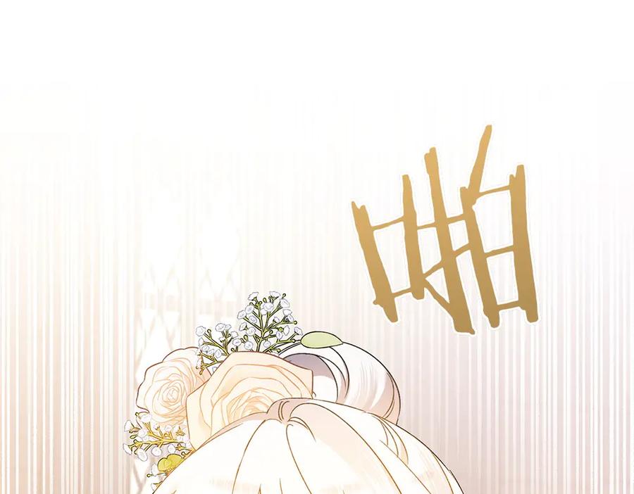 第254页