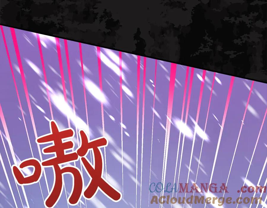 第205页