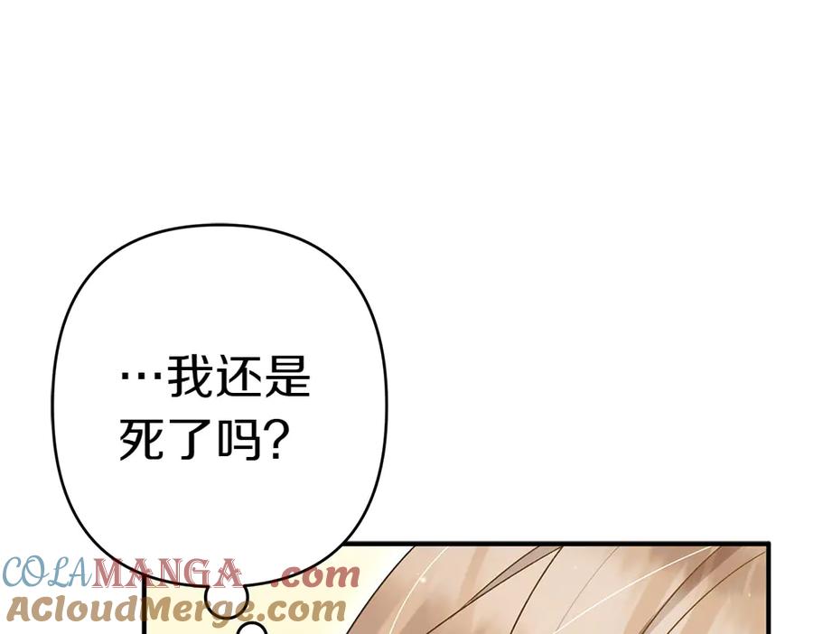 第233页