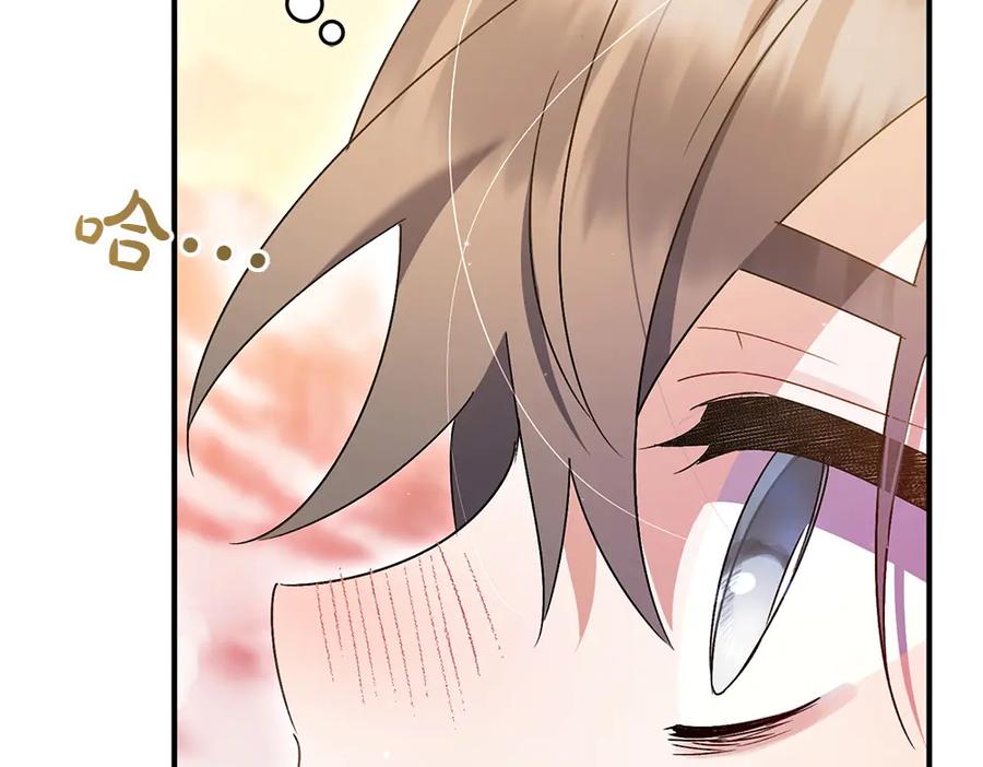 第234页