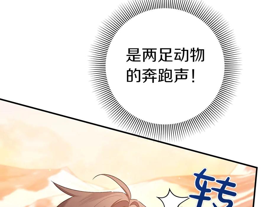 第239页