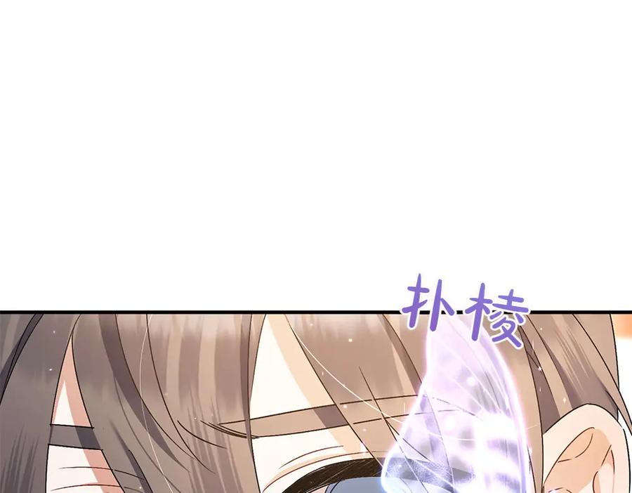 第247页