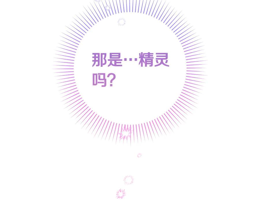 第260页