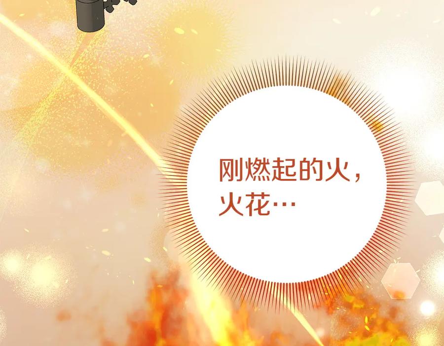第255页
