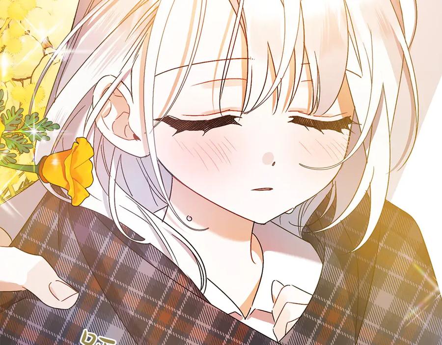 第267页