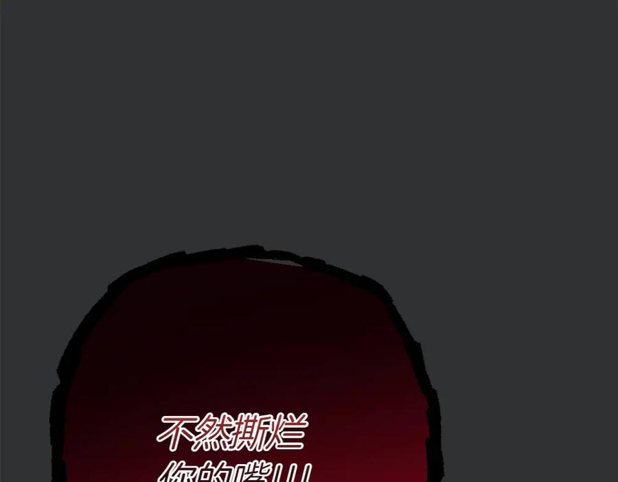 第223页