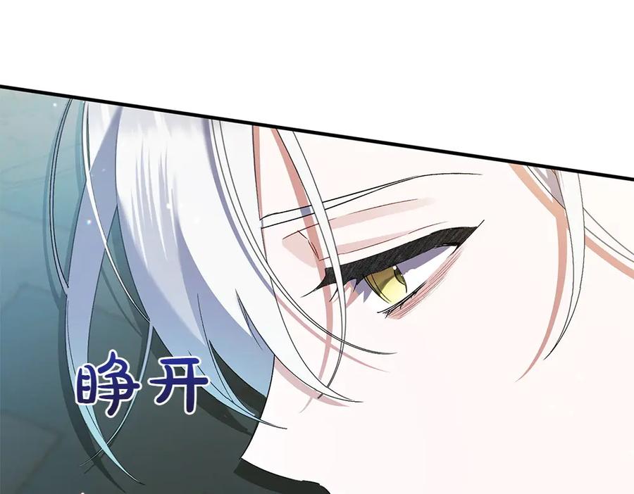 第223页
