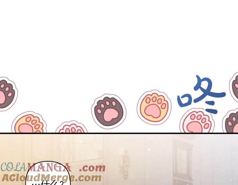第241页