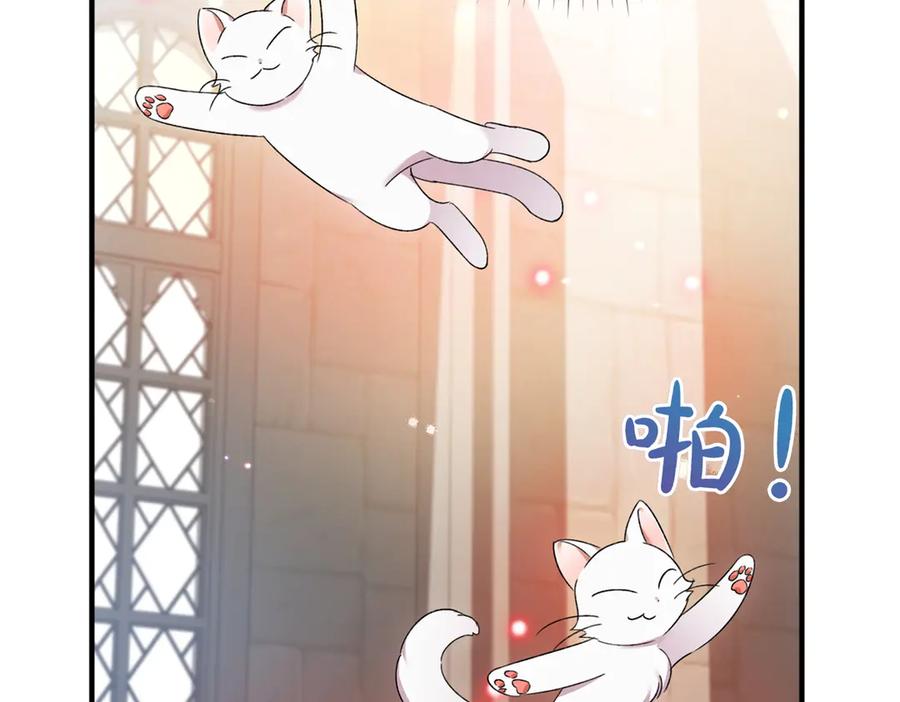 第202页
