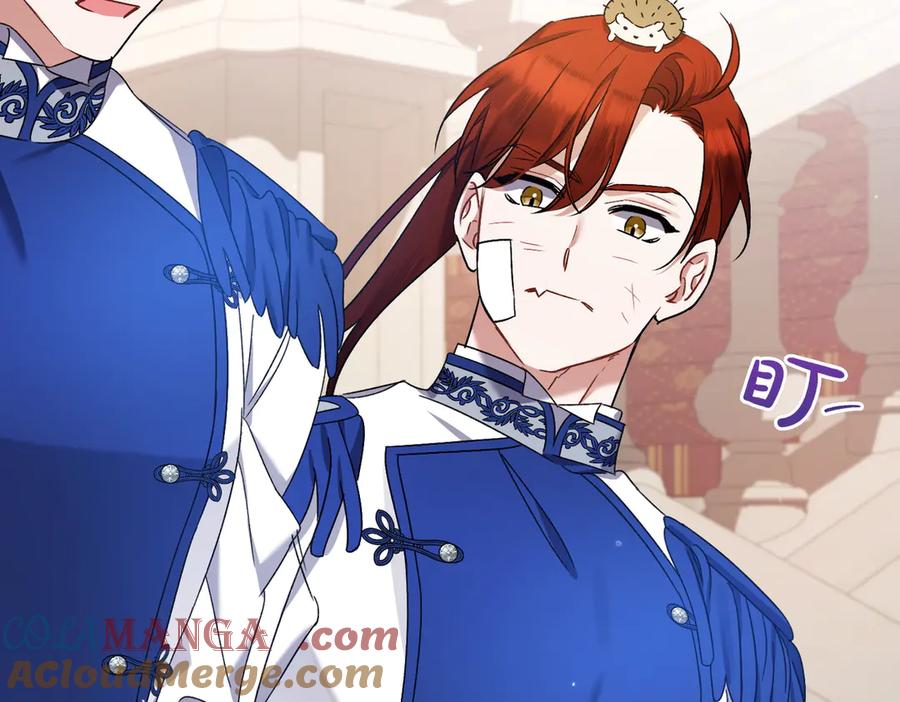 第205页
